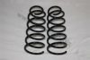 AUTOMEGA 3003120049 Coil Spring